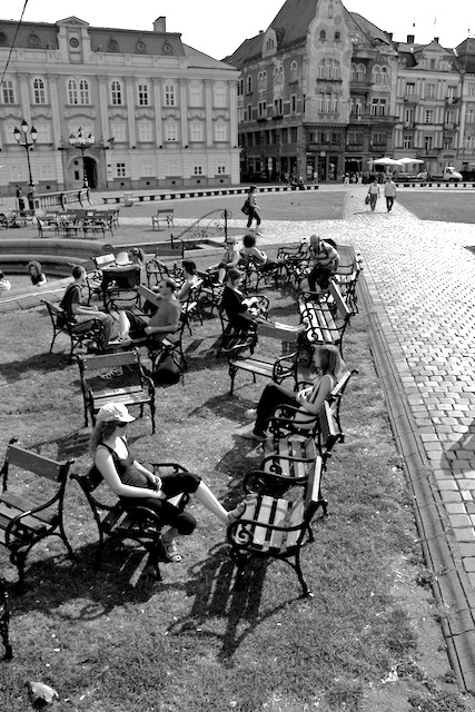 Timisoara 4